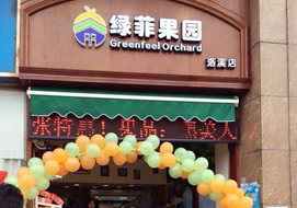 广州绿菲果园洛溪店购置水果风幕柜案例