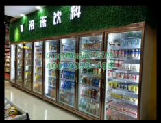 商用超市冰柜专业品牌-绿缔冷柜
